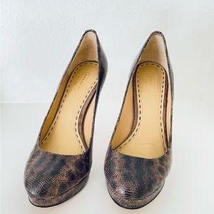 Coach Daisee Leather size 6.5 Pumps Lizard